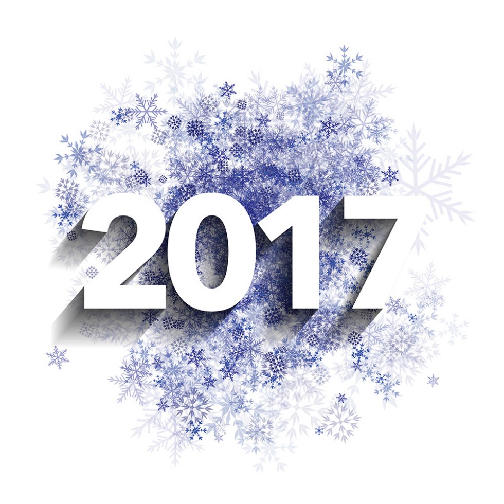 2017 New Year Vector