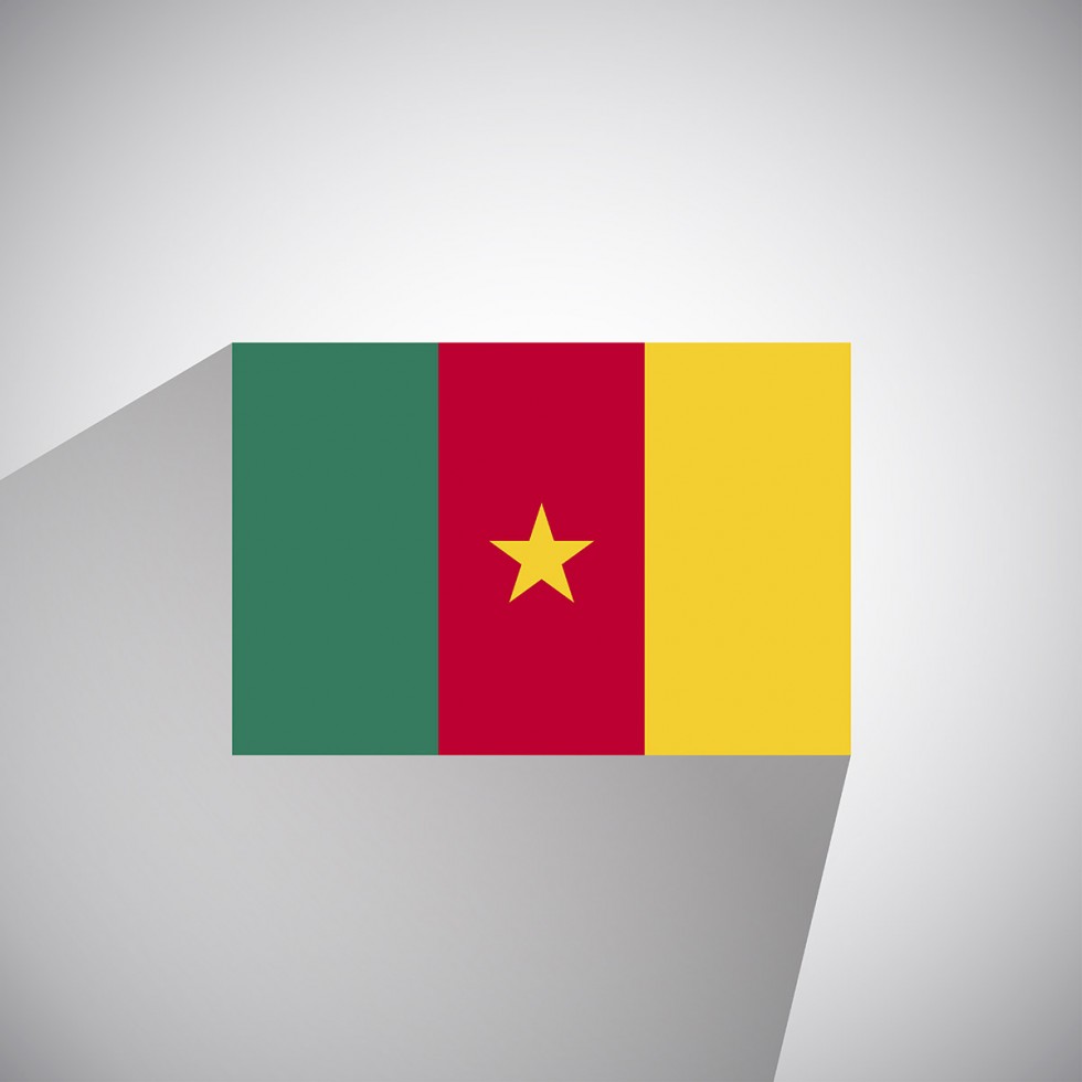 Flat Vector Flag of Cameroon