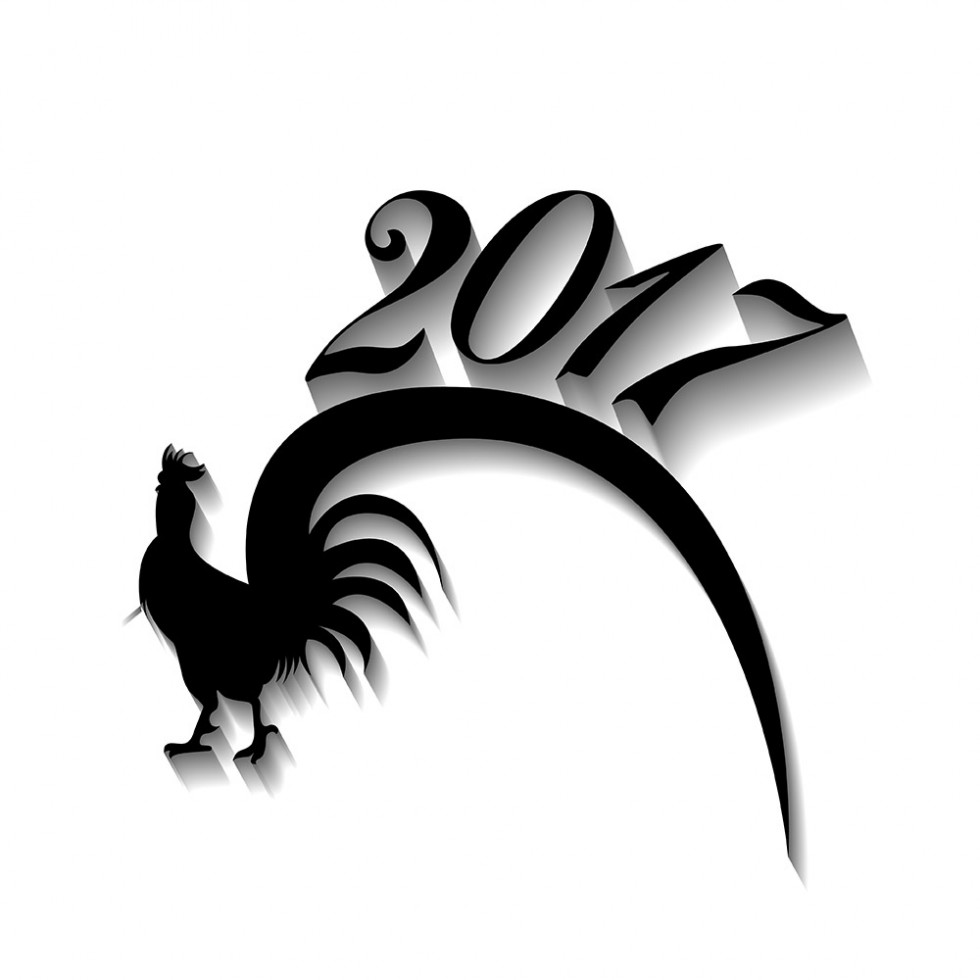 New Year Rooster