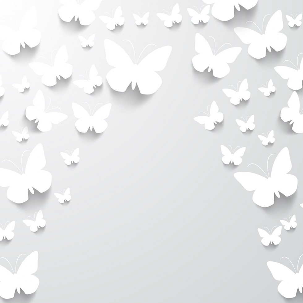 Paper Butterflies