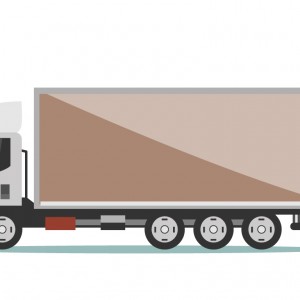 Cargo Truck