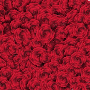 Red Rose Background