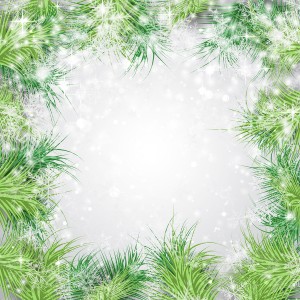 Snowy Fir Frame