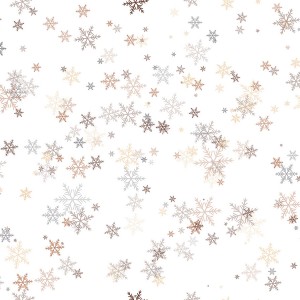 Vector Colorful Snowflakes