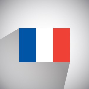 Vector Flag of France