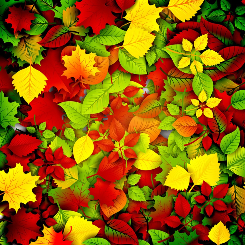 Vector Autumn Background