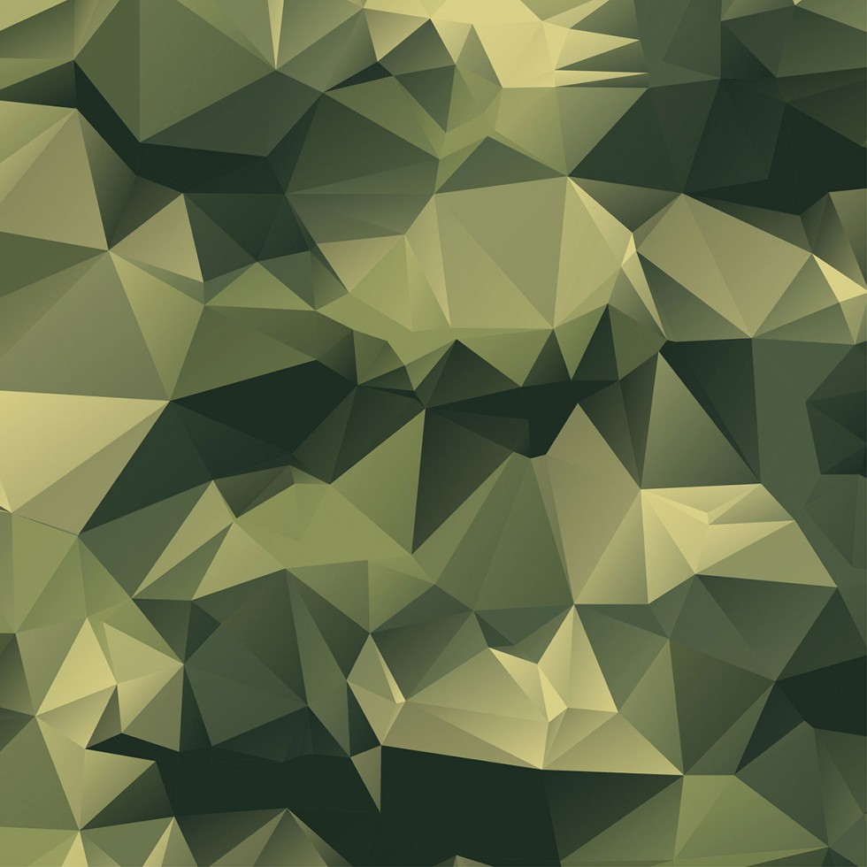 Vector Camouflage Texture