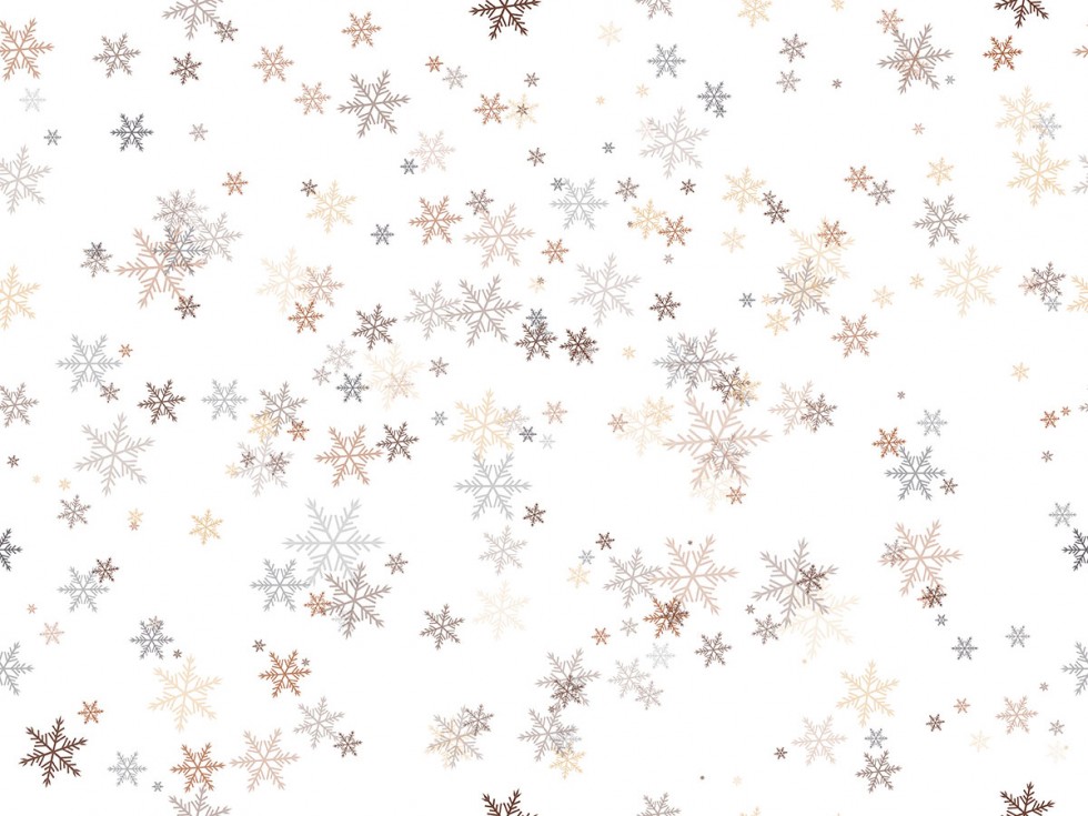 Vector Colorful Snowflakes